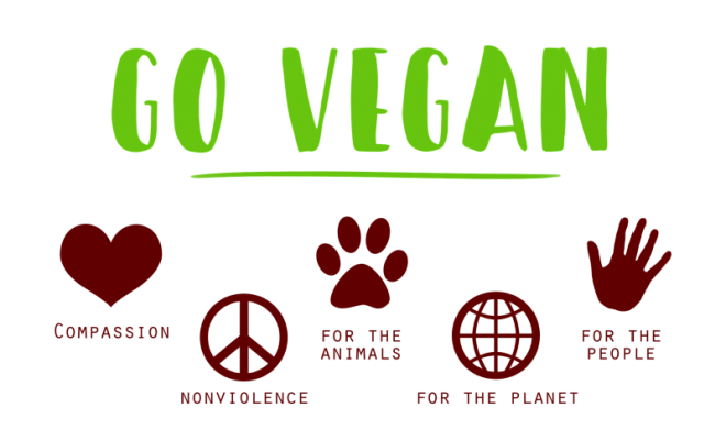 how-to-go-vegan-e1466538689406-1-660x400